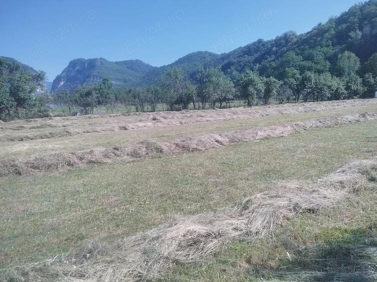 Teren de 6800 mp, în Polovragi
