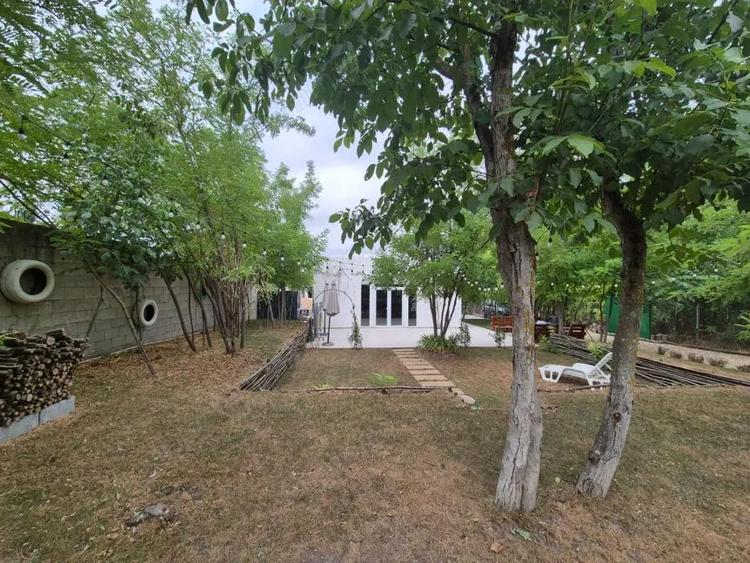 Casă cu Teren 1500 Mp în Frumușani
