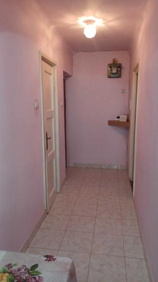Apartament cu 2 camere decomandat în Podgoria