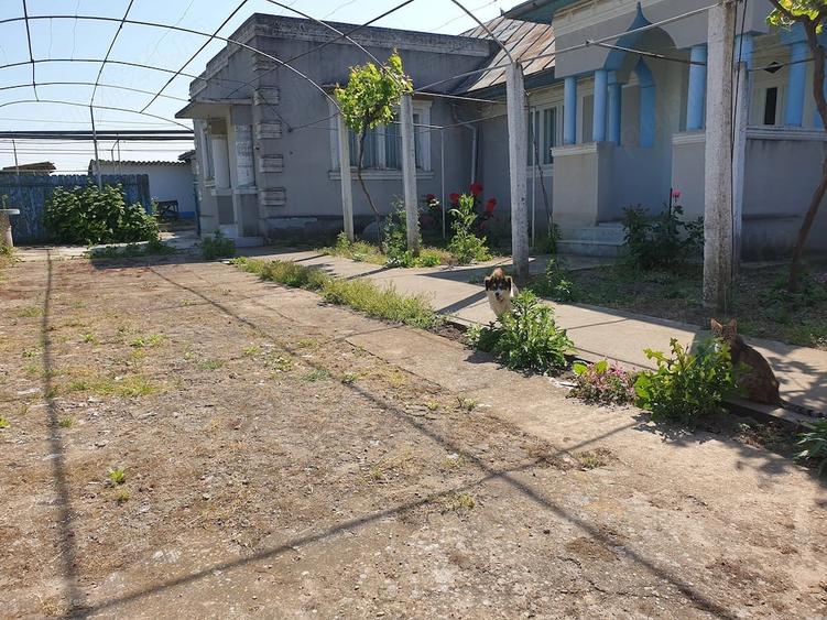 Casă cu Teren 1853 Mp în Sarichioi
