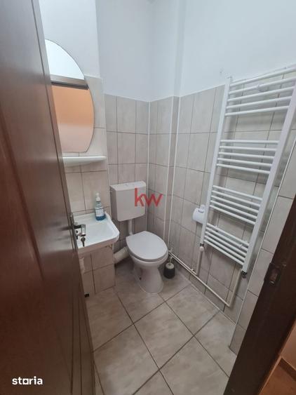 Apartament cu 2 camere nedecomandat, mobilat în Alexandru cel Bun