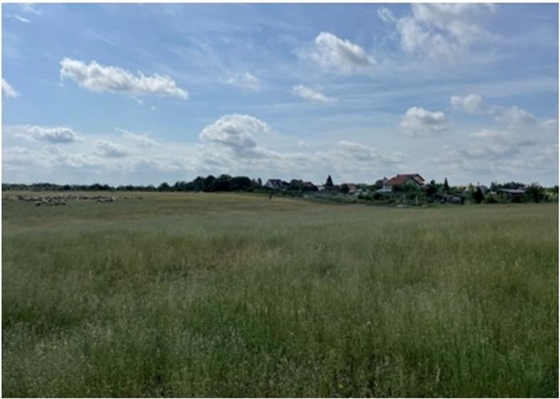 Teren Construcții intravilan de 906 mp, în Sânleani
