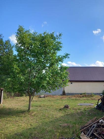 Casă cu 3 camere în Tărlungeni