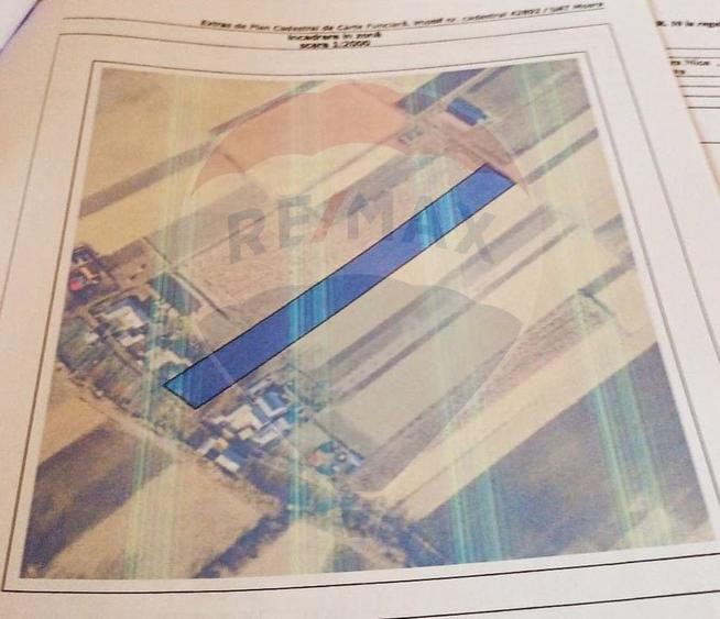 Teren Construcții intravilan de 7500 mp, în Moara Carp