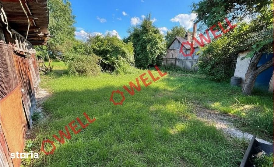Casă cu Teren 8000 Mp în Cernat