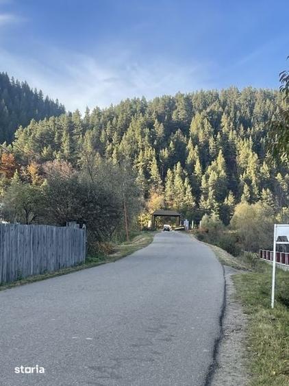 Teren de vanzare in Ceahlau - 2