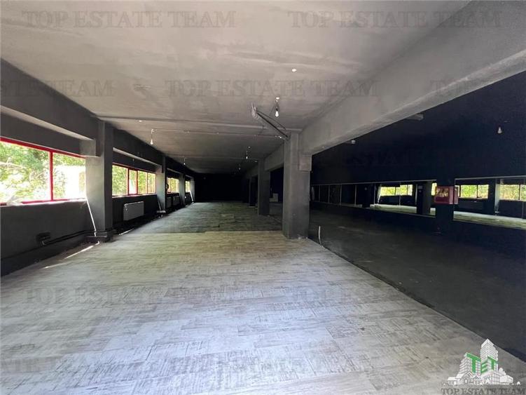 Spațiu industrial, de 100 mp, în Central