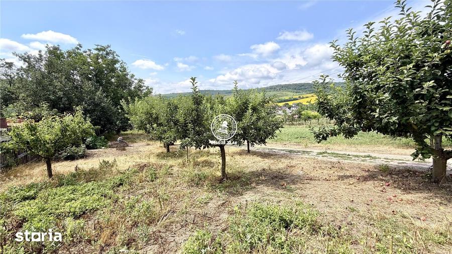 Casă cu 5 camere cu Teren 6400 Mp în Rediu
