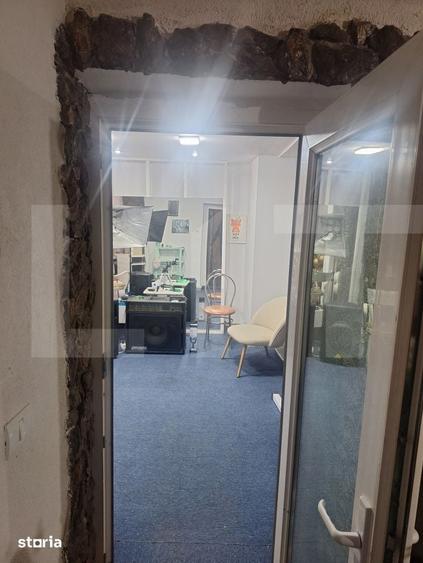 Penthouse, 110 mp, zona Lugoj - 5