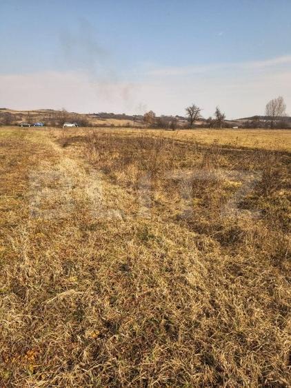 Teren agricol extravilan de 4000 mp, în Exterior Est