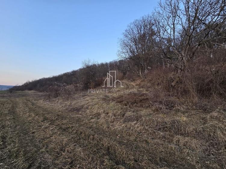 Teren agricol extravilan de 28800 mp, în Sud
