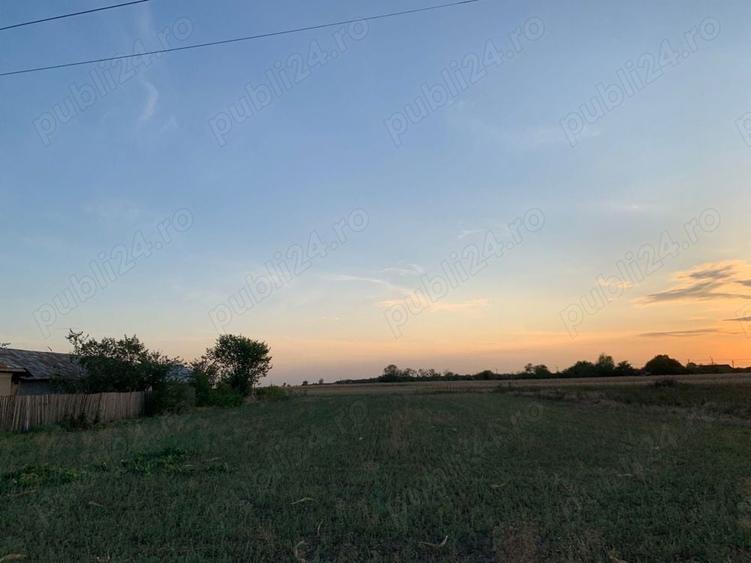 Teren de 2500 mp, în Copaciu