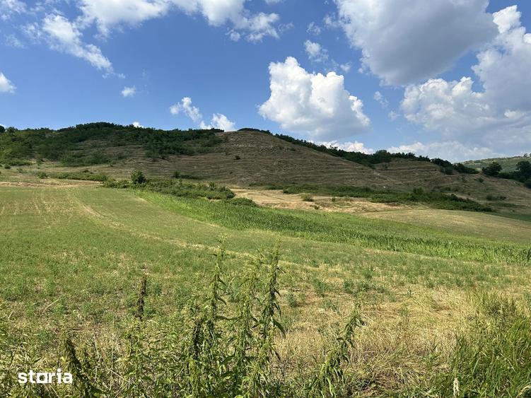 Teren de 2984 mp, în Central