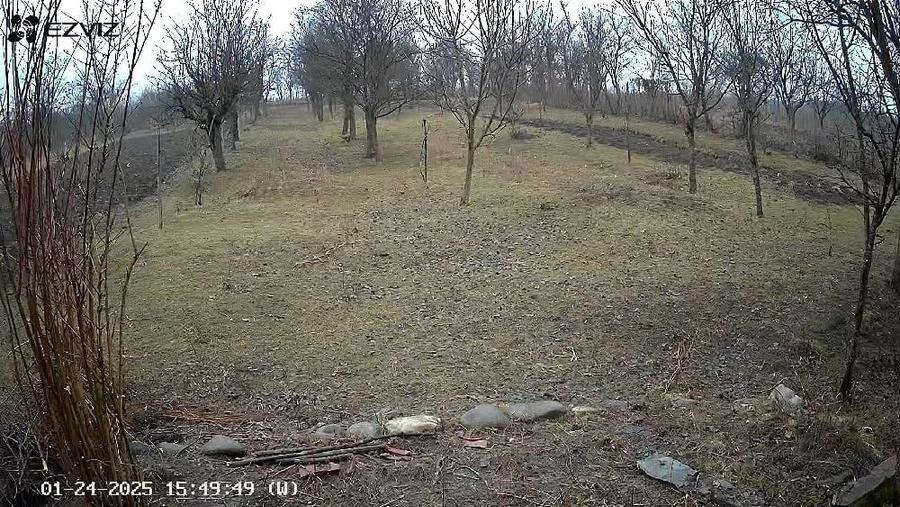 Casă cu 2 camere cu Teren 2680 Mp în Măceu