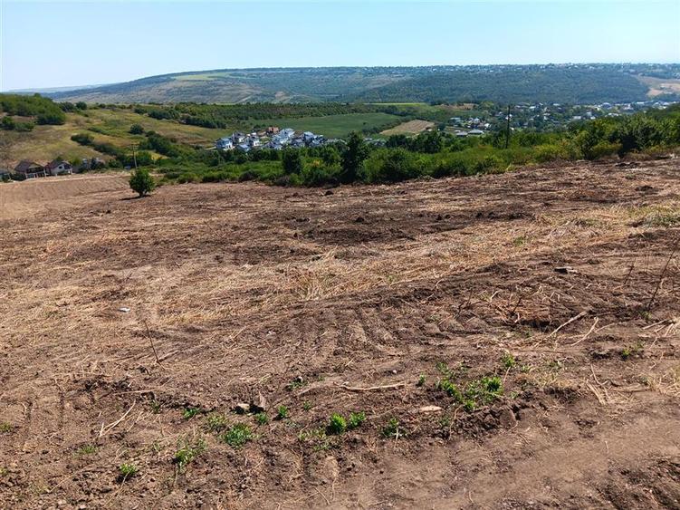 Teren Construcții intravilan de 10000 mp, în Șorogari
