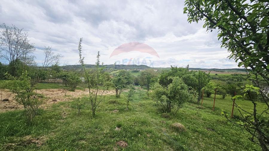 Teren Construcții intravilan de 5350 mp, în Dobreni