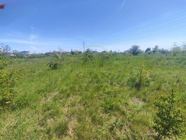 Teren Construcții intravilan de 390 mp, în Malu Mare