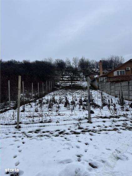 Teren de 1157 mp, în Oncea