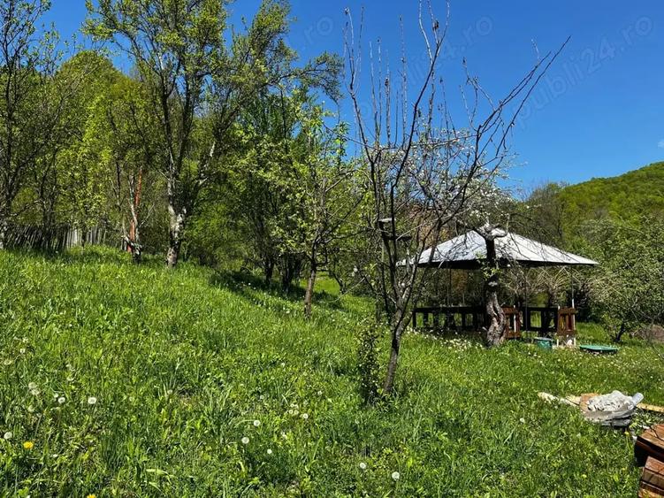 Teren de 2281 mp, în Cosmina de Sus