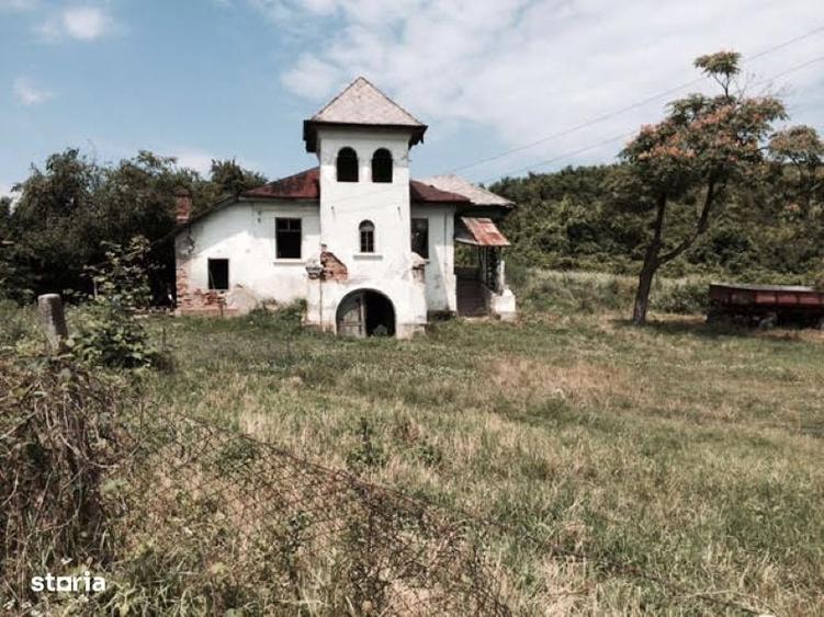Spațiu comercial, în Călinești