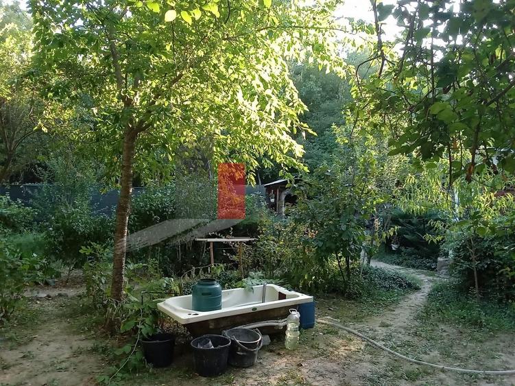 Teren Construcții intravilan de 630 mp, în Dărăști-Vlașca