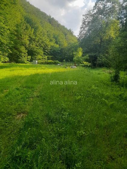 Teren de 2315 mp, în Boș