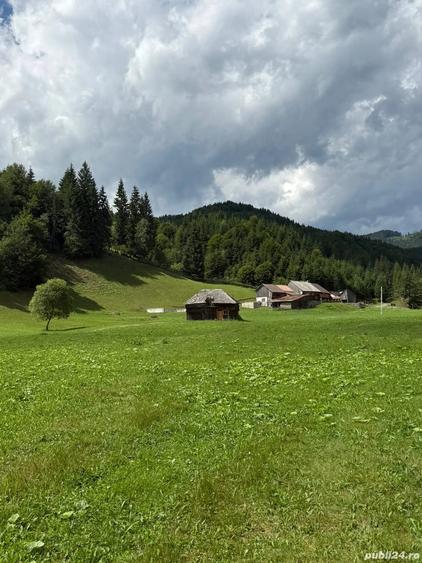 Teren de 6800 mp, în Rucăr