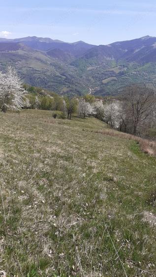 Teren în Cornereva