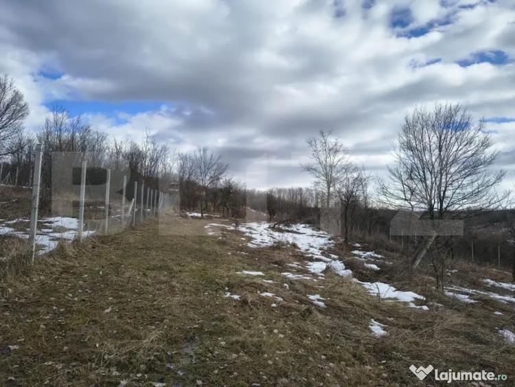 Teren în Păulești
