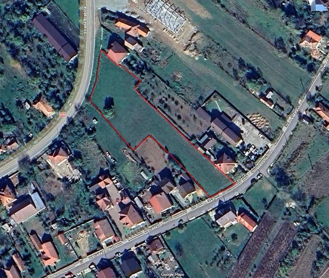 Teren Intravilan de Vanzare in Baia de Arama 3815mp - 1