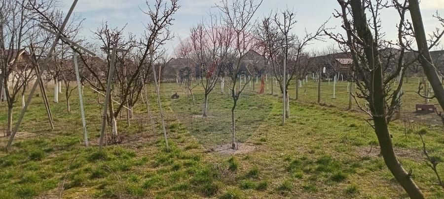 Teren Construcții intravilan de 2954 mp, în Vladimirescu