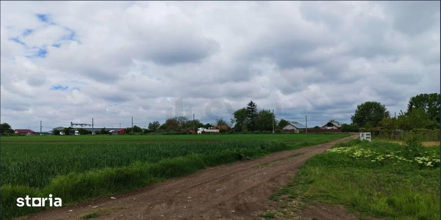 Teren intravilan 10.000 mp | PUZ aprobat 17 loturi | Gagu Dascalu - 5