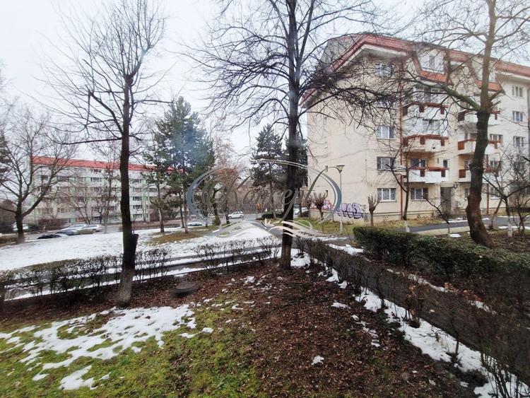Birou, de 65 mp, în Zorilor