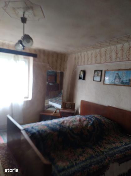 Casa de vanzare in Cenad aproape de ie?irea spre Ungaria- 739 - 5