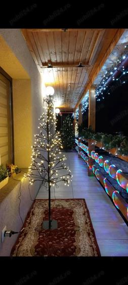 Casă cu 6 camere în Băiuț