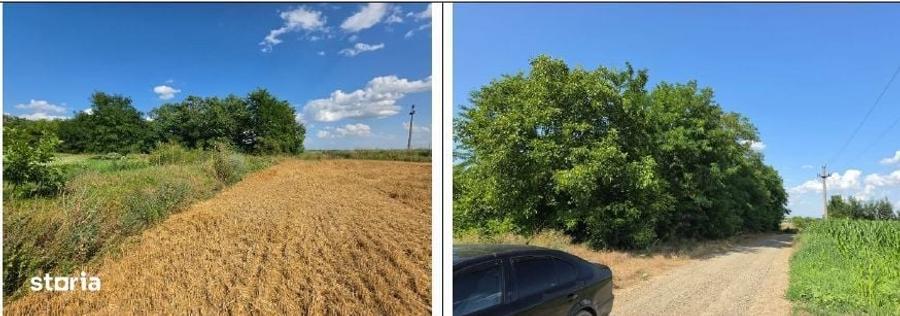 Teren de 3900 mp, în Golăiești