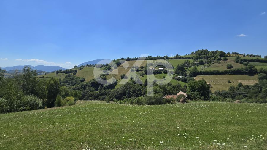 Teren agricol extravilan de 3757 mp, în Poiana Mărului