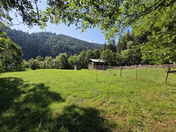 Teren de 3386 mp, în Borca