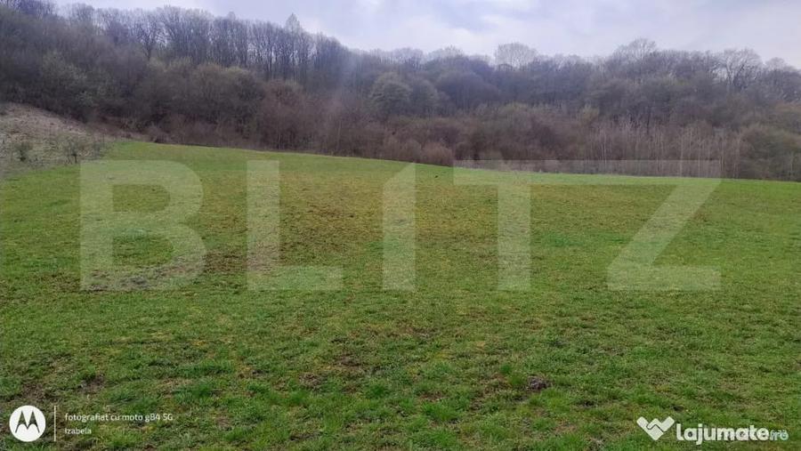 Teren superb 2.500 mp in Nicula lini?te, natura ?i p - 5