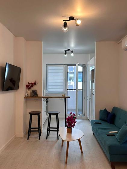 De inchiriat Apartament 2 camere / Studio Str. Biruintei 81 - 8