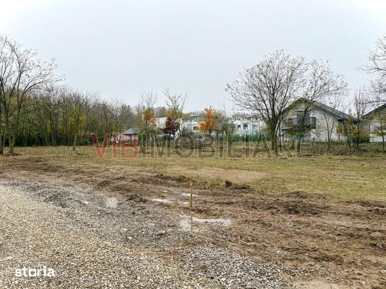 Teren intravilan de vanzare in Snagov Ciofliceni - 3