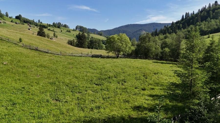 Teren intravilan de vanzare in Bucovina zona Breaza - 8