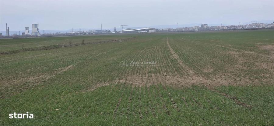 Teren de 7900 mp, în Ulmi