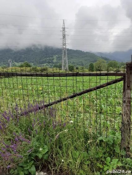 Teren de 1706 mp, în Stejaru (Pângărați)