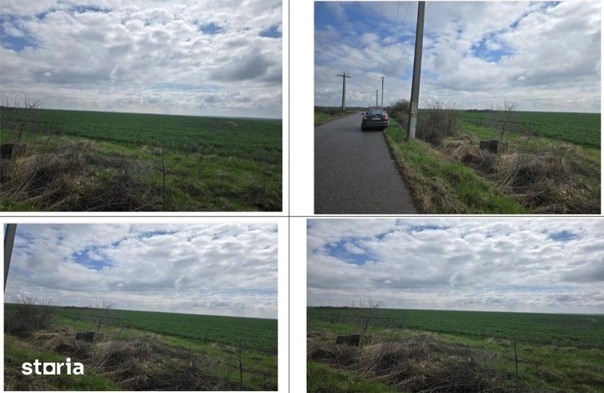 Teren de 5000 mp, în Filipeștii de Târg