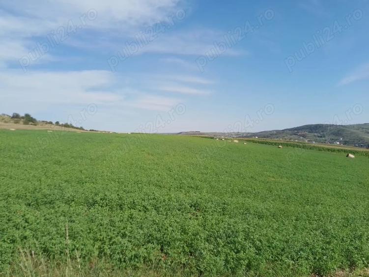 Teren de 8000 mp, în Chinteni