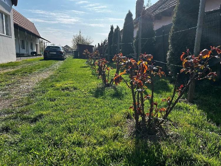 Casă cu 2 camere cu Teren 1500 Mp în Oar