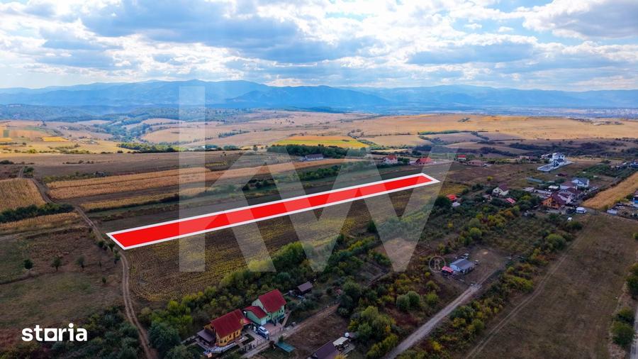 Teren de 5000 mp, în Câineni