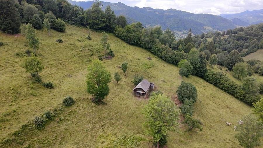Teren de 30000 mp, în Șanț