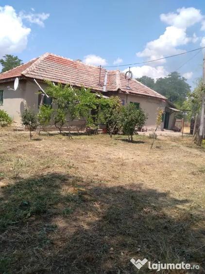 Casă cu 3 camere în Central